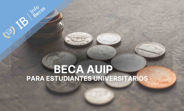 Beca AUIP