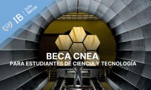 Beca CNEA