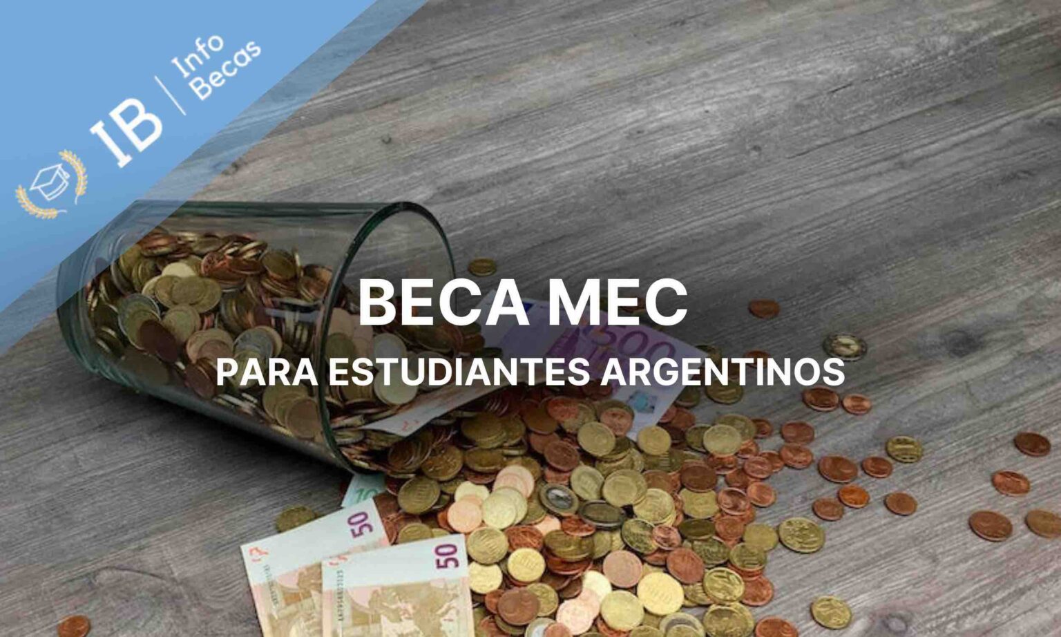 Becas MEC 2023-2024: Requisitos Para Solicitarlas - Info Becas Argentina