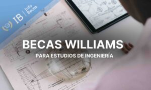 Becas Williams para ingeniería